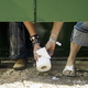 Illustration for article titled Women Push For Equal Potty Rights
